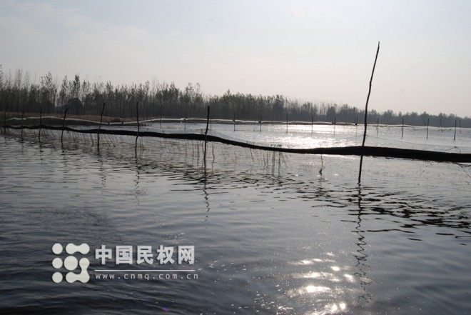 精品欣赏