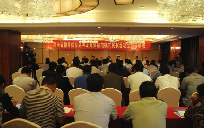 河南省葡萄优良品种及高效栽培模式培训班在我县开班