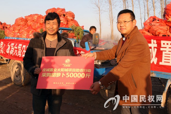 褚庙乡200多亩胡萝卜滞销 微博引来爱心企业前来购买