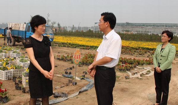 县委常委、宣传部长周燕到我县伯党乡花卉示范园调研