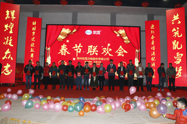 凯雪2015年春节晚会