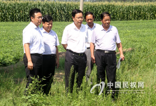 县长姬脉常调研“两园一廊”基础设施建设和农村危桥改造情况