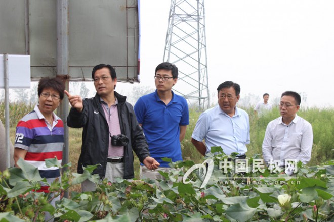 农业部专家组莅临我县调研棉花生产