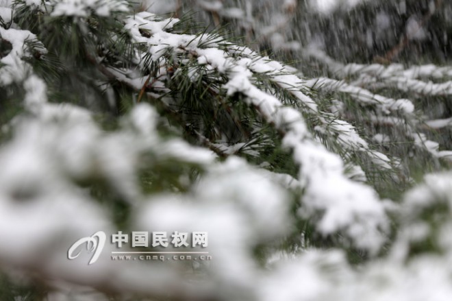 我县迎来羊年首次降雪 一周内或再与雪花邂逅