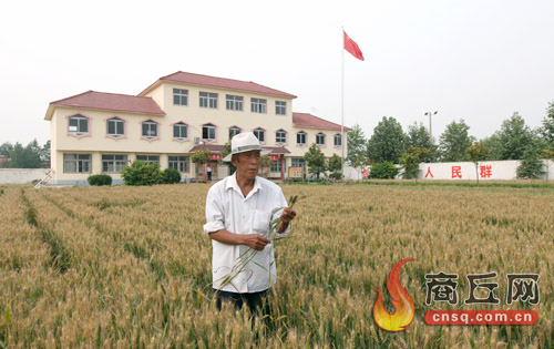商丘民权：富有田园特色的村室大院