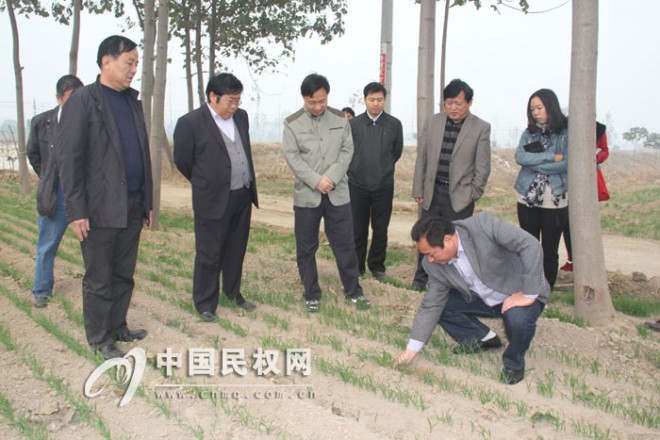 省政府督导组莅民督导检查“三秋”生产工作