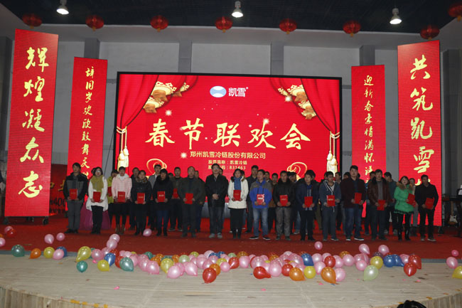 凯雪2015年春节晚会