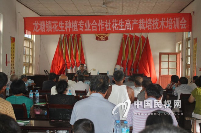 龙塘镇召开花生高产栽培技术培训会