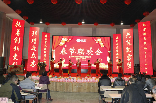 凯雪2015年春节晚会