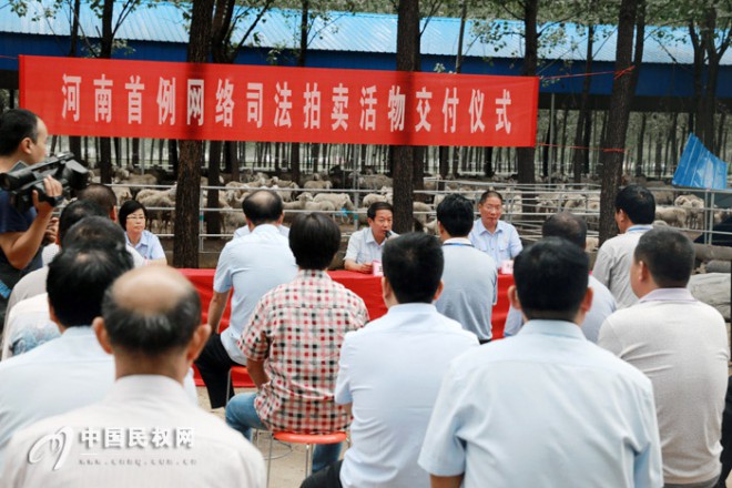 河南首例网络司法拍卖活物交付仪式在民权县举行
