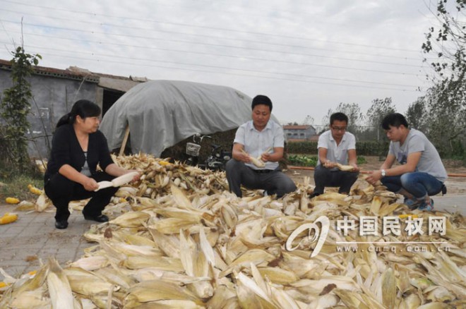 高新区干部“三秋”时节帮扶忙&nbsp;暖人心