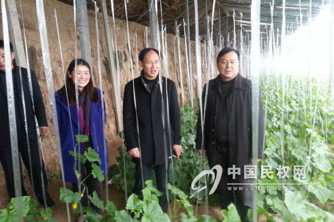 县领导杨思松深入孙六镇大学生村干部创业种养殖基地进行调研