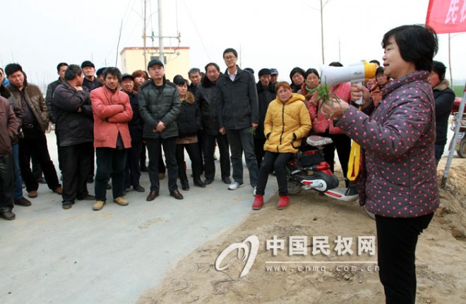 早春麦田咋管理   教授地头作指导