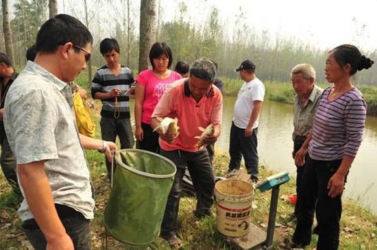 民权县供电局举办首届文化艺术节钓鱼比赛