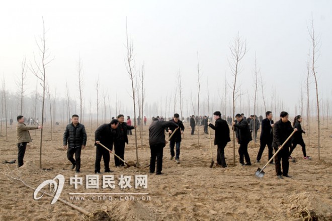 县四大家领导带领党员干部开展义务植树活动