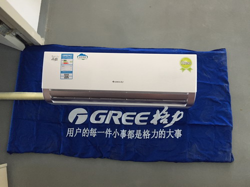 R290环保冷媒空调国内首批订单花落格力