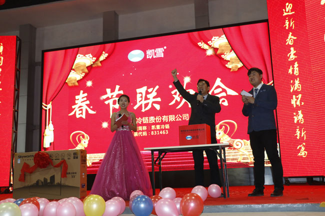 凯雪2015年春节晚会