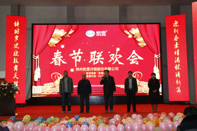 凯雪2015年春节晚会