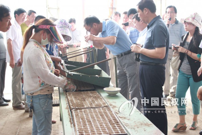 全国棉花轻简育苗机械化培训现场会在民权成功举办