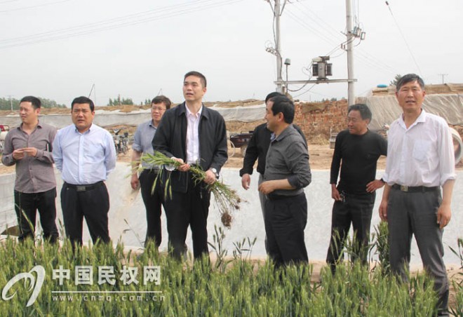 县委常委、副县长王涛深入乡镇查看小麦后期管理工作