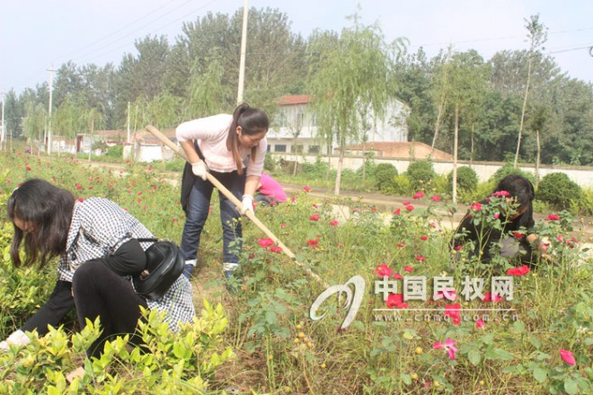 县农业局迅速掀起环境卫生整治高潮