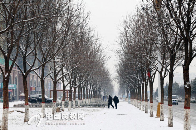 我县迎来羊年首次降雪 一周内或再与雪花邂逅