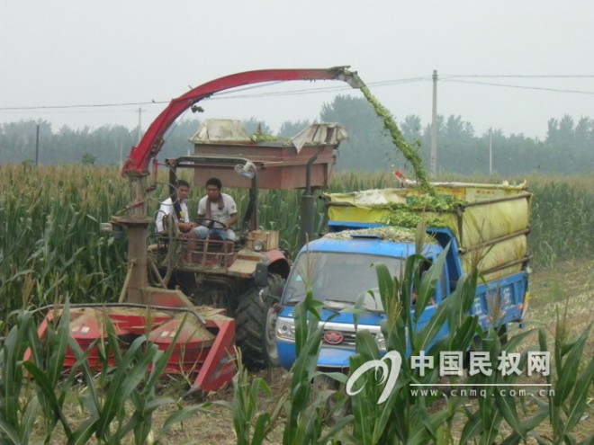 庄子镇以秸秆青贮促进农民增收