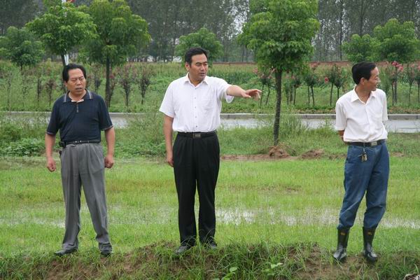 副县长锦传星检查城区防汛工作