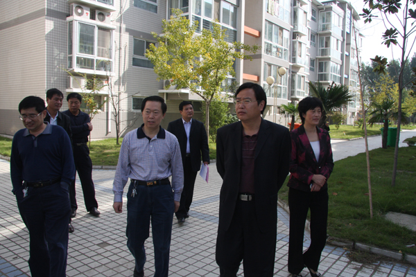省级卫生县城年审专家组莅民检查