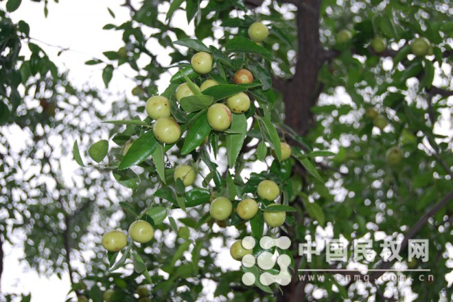 星光点点