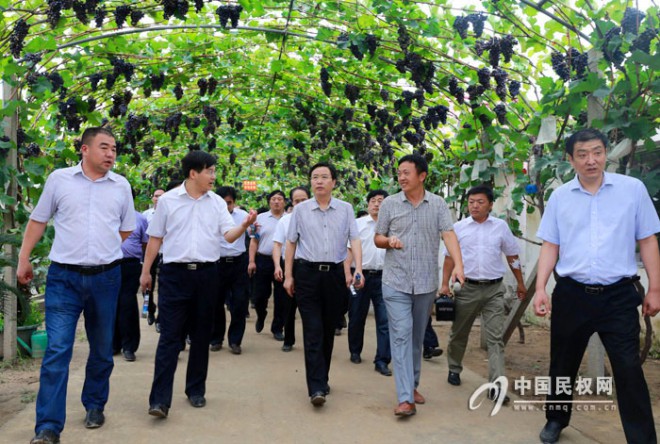 我县对2014年度上半年重点工作进行巡回观摩点评