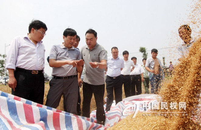 县领导杨思松检查指导三夏麦收工作