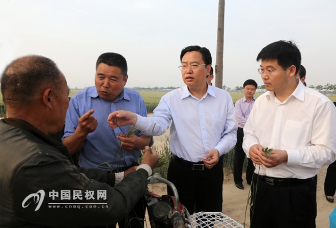 县委书记、县长姬脉常调研夏粮生产工作