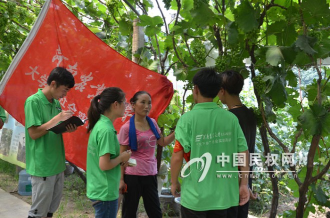 河南农大学子到人和镇开展社会实践活动