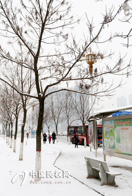 我县迎来羊年首次降雪 一周内或再与雪花邂逅